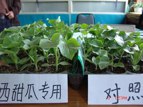 廣譜和專(zhuān)用基質(zhì)對比